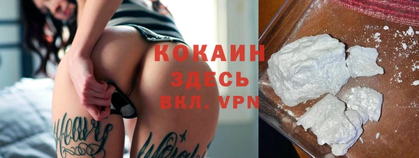 твердый Гусев