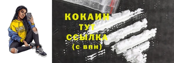 твердый Гусев