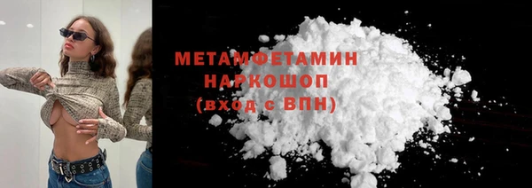 твердый Гусев