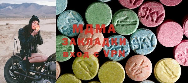 твердый Гусев