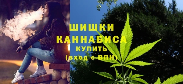 гашик Вязники