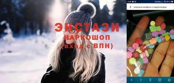 твердый Гусев